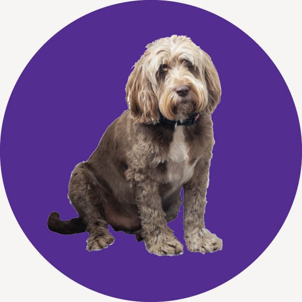 Photo of team member Ralphe