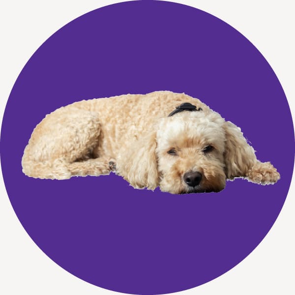 Photo of team member Ronnie